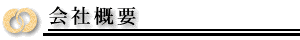 ЊTv